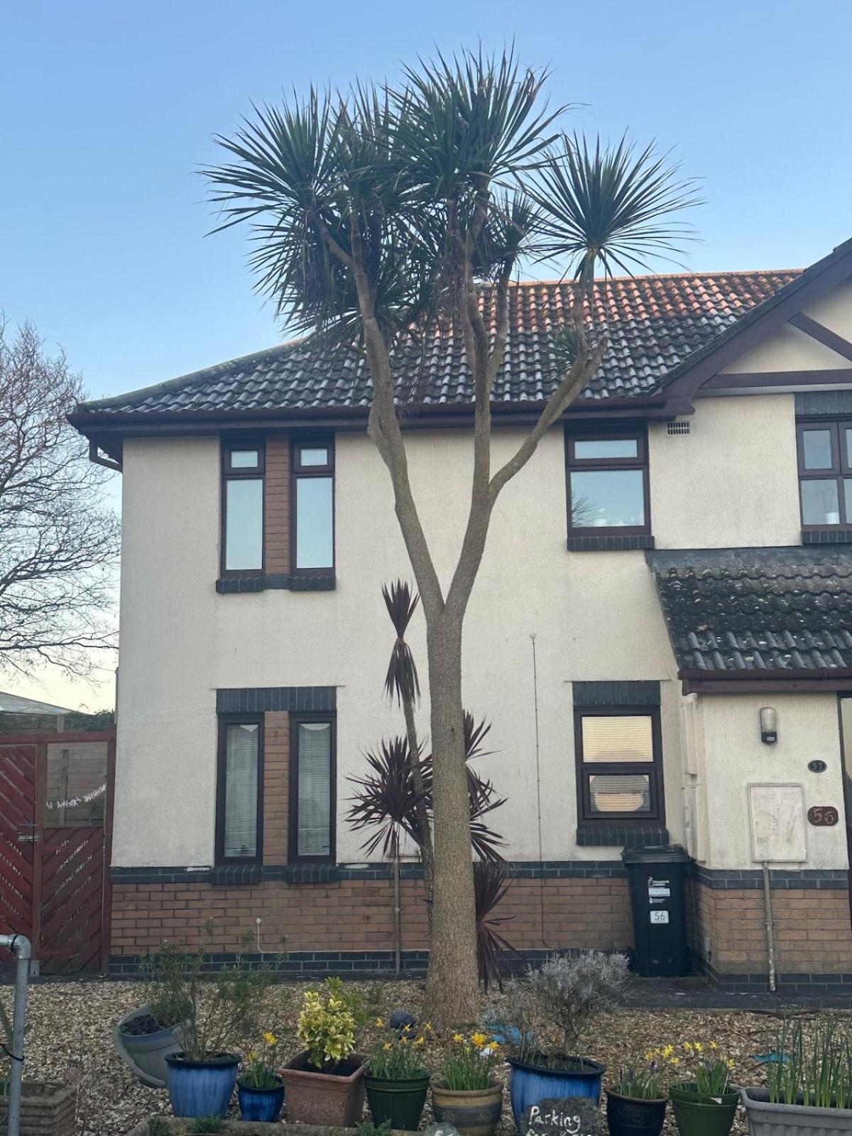 Tranquil One Bed Flat Apartment